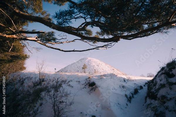 Obraz snow covered hill