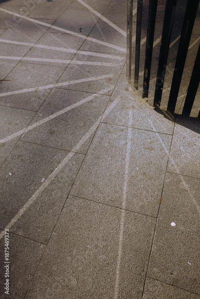 Obraz Light reflection on the ground