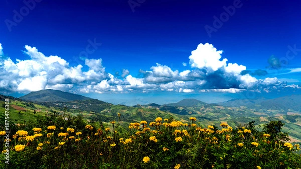 Obraz summer landscape with sunflowers