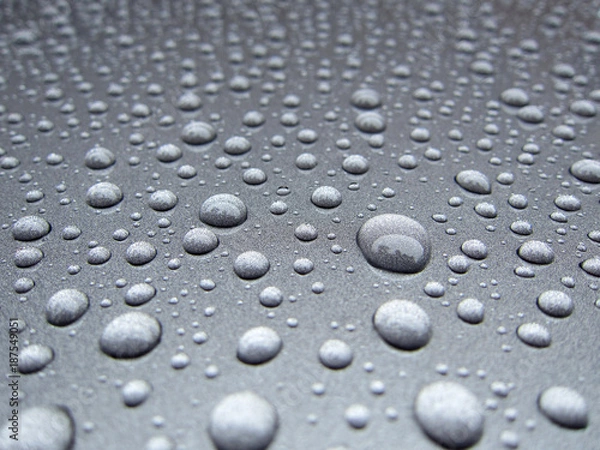 Fototapeta water dew droplets on silver metallic paint background. rain water droplets on car boot. weather concept