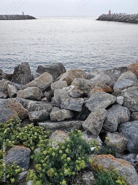 Obraz rocks in the sea