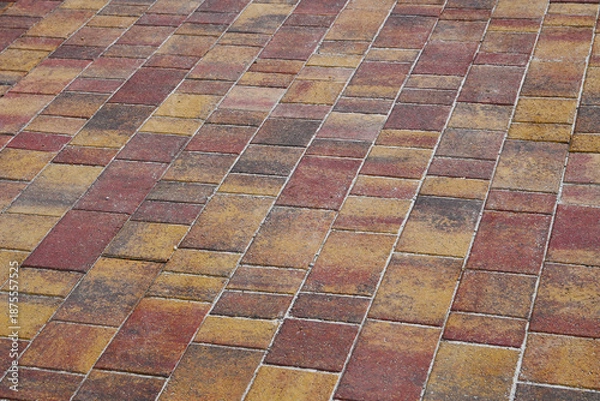 Obraz A yellow brick path or trail