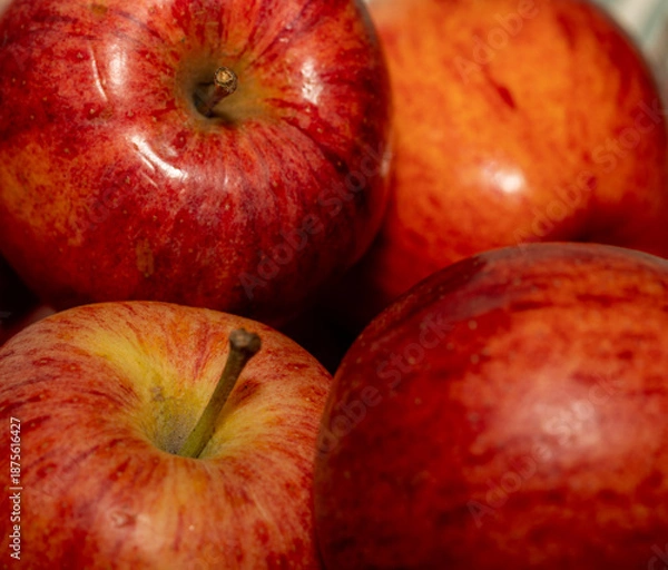 Obraz red apples close up