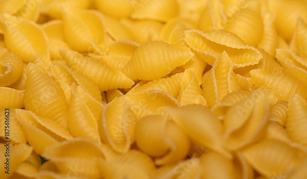 Obraz close up macro pasta shells background