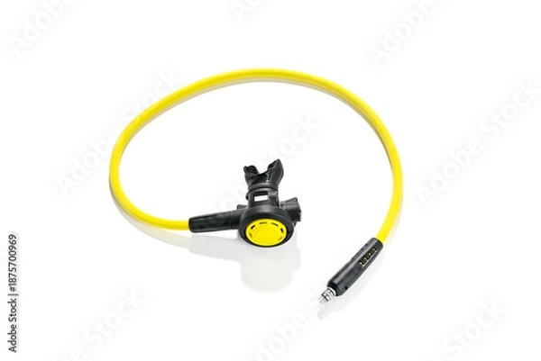 Obraz Octopus from above isolated on white background