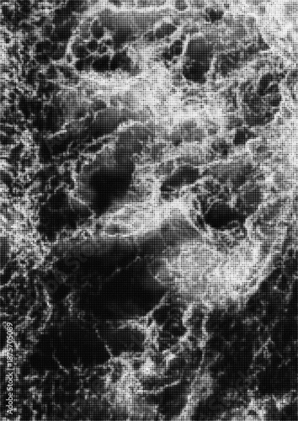 Obraz Large vector halftone water texture with a transparent background