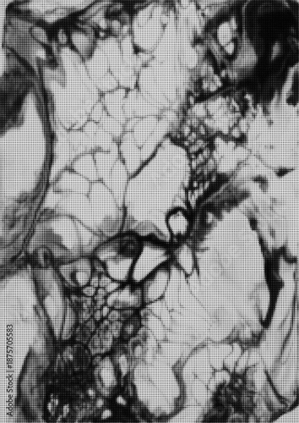 Obraz Large vector halftone watercolour texture with a transparent background