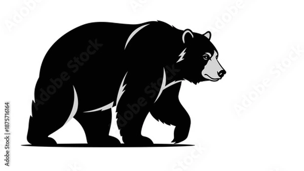 Obraz Black Bear Silhouette Walking Forward.