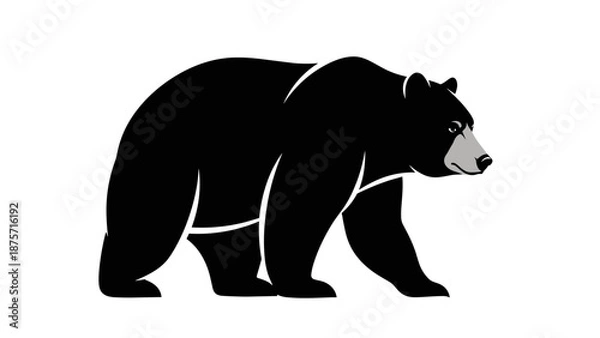 Obraz Black Bear Silhouette Walking Profile.