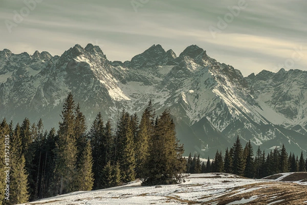 Obraz winter in the mountains