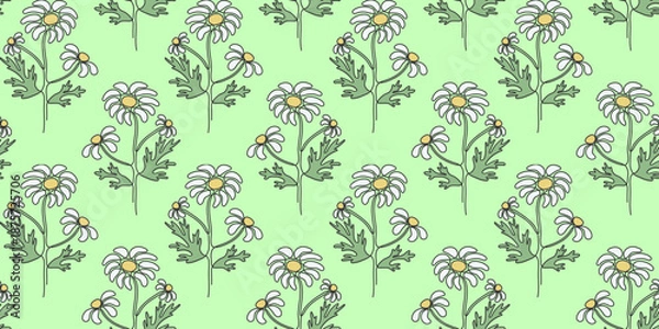 Fototapeta Summer Seamless Pattern with Daisies
