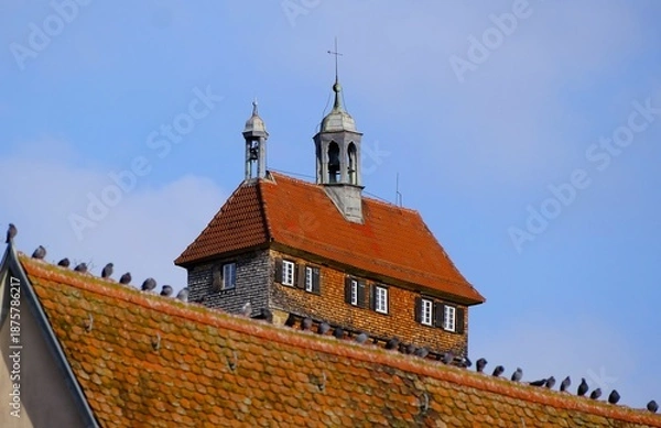 Obraz Tauben auf dem Dach