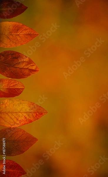 Obraz Herbst Angebot