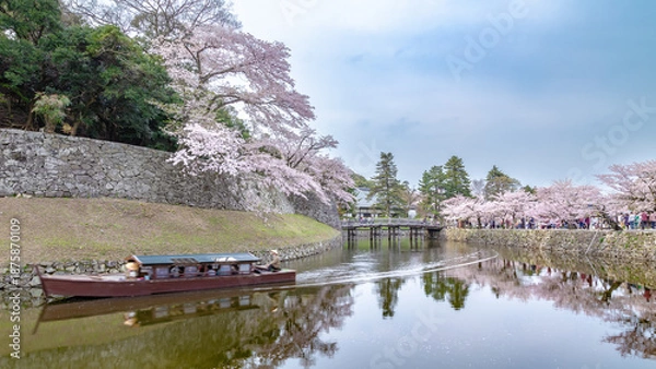 Obraz 春の彦根城