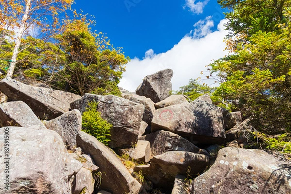 Obraz 日本の風景・秋　長野県佐久穂町　紅葉の北八ヶ岳　高見石