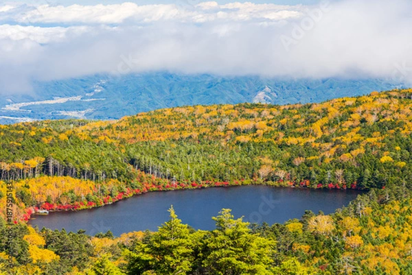 Obraz 日本の風景・秋　長野県佐久穂町　紅葉の北八ヶ岳　高見石からの眺望