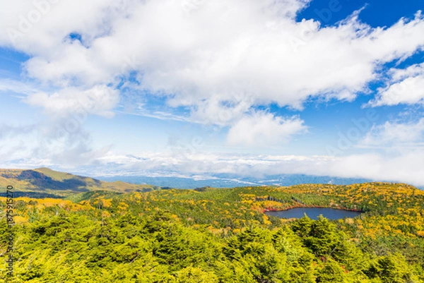 Obraz 日本の風景・秋　長野県佐久穂町　紅葉の北八ヶ岳　高見石からの眺望