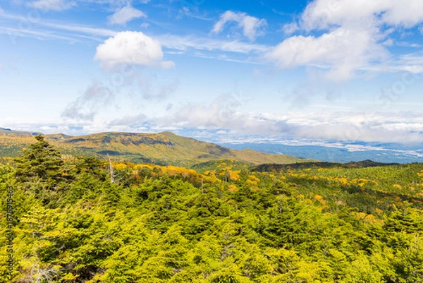 Obraz 日本の風景・秋　長野県佐久穂町　紅葉の北八ヶ岳　高見石からの眺望