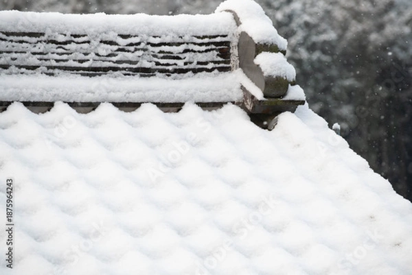 Fototapeta 瓦屋根に積もった雪