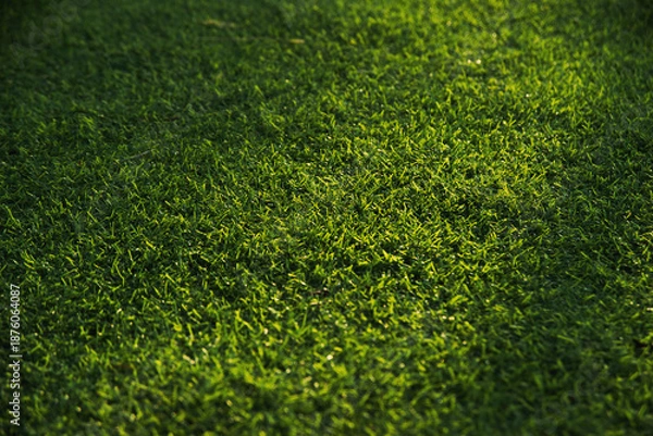 Obraz Artificial green grass field texture with warm sunlight background