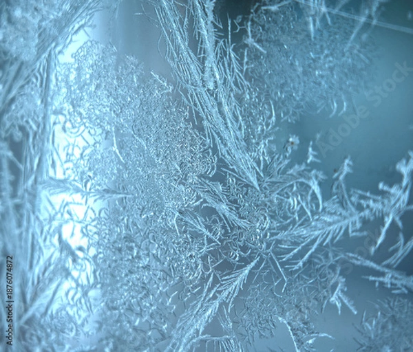 Obraz Ice patterns on a window in winter