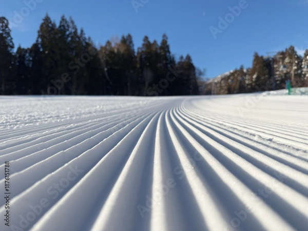 Obraz スキー場圧雪車キャタピュラピステンの跡 