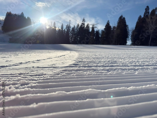 Obraz スキー場圧雪車キャタピュラピステンの跡 