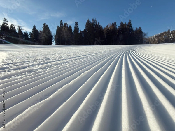Obraz スキー場圧雪車キャタピュラピステンの跡 