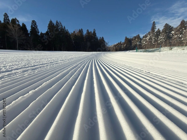 Obraz スキー場圧雪車キャタピュラピステンの跡 