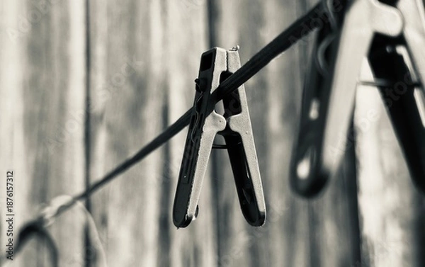 Obraz clothespin on the rope