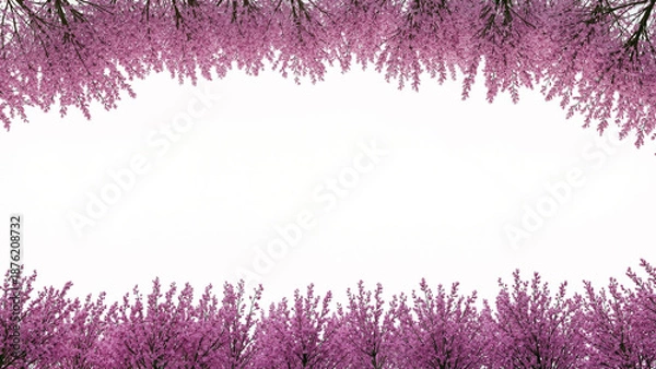 Obraz Spring Cherry Blossom Design Elements Collection Isolated on White