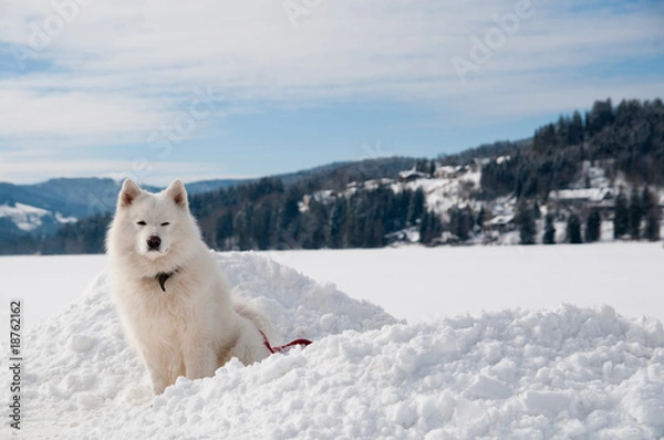 Obraz near a winter lake in Alps