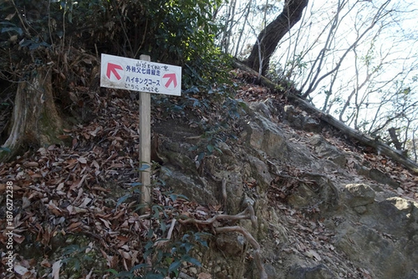 Obraz 日本：頂上付近の斜面【石尊山～官ノ倉山ハイキングコース】埼玉県小川町