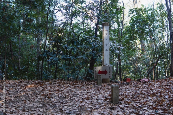 Obraz 日本：石尊山～官ノ倉山ハイキングコース／埼玉県小川町