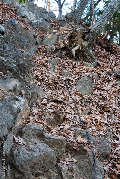 Obraz 日本：鎖場【石尊山～官ノ倉山ハイキングコース】埼玉県小川町