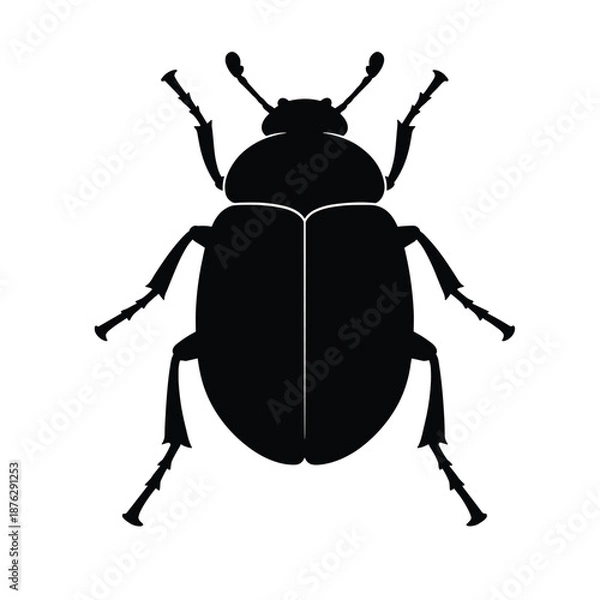 Obraz Beetle insect silhouette vector illustration