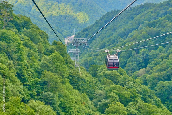 Obraz 新緑の中を進む谷川岳のロープウェイ