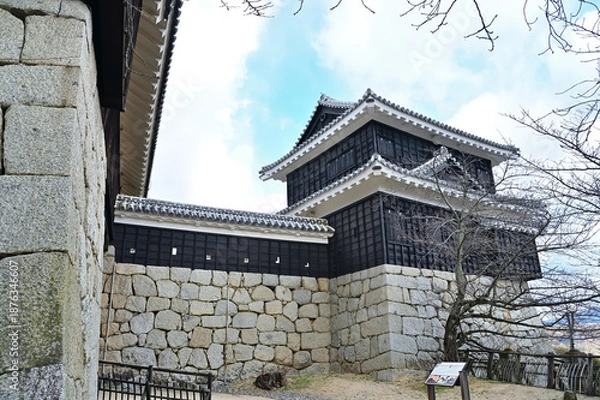Fototapeta 松山城　巽櫓と巽櫓西塀の風景　愛媛県松山市