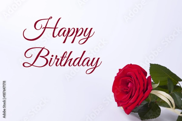 Fototapeta Birthday card with beautyful red rose on the white empty background