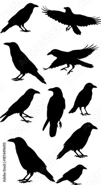 Obraz Raven's Chorus