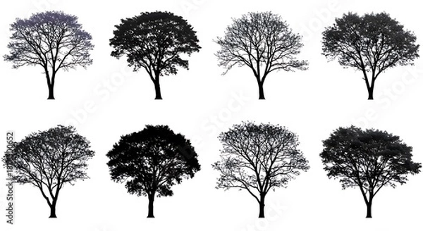 Obraz Winter's Eight Silhouettes