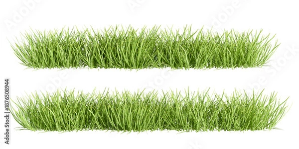 Obraz Green grass isolated on white background