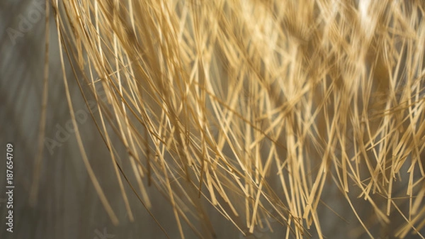 Obraz Abstract Hay Light