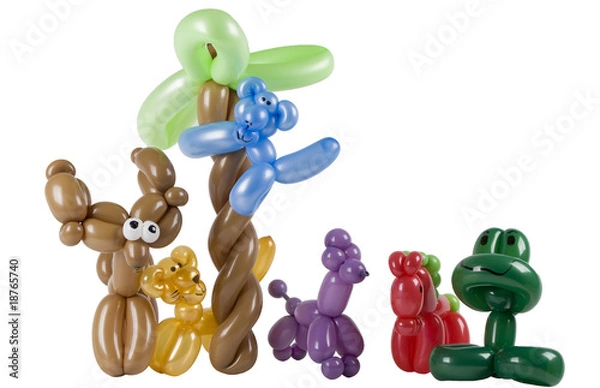 Obraz Twisted balloon animals isolated on white