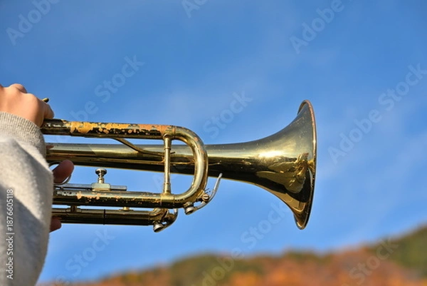 Obraz 青空と紅葉を背景にしたトランペット