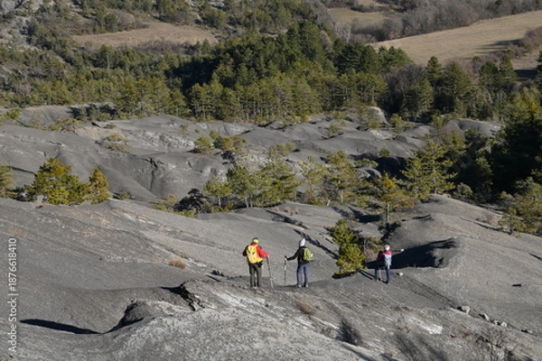 Obraz Terres  noires d'Archail (Provence)