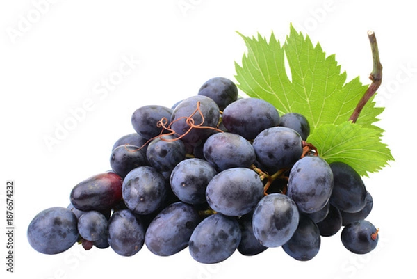 Obraz Grapes isolated on white background