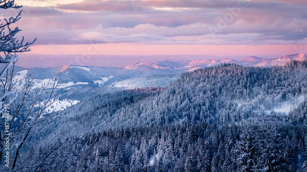 Obraz Extremely cold black forest warmed up by the early morning purple sun rays. The sky is opening up and the fir trees are covered with snow after the storm the day before.