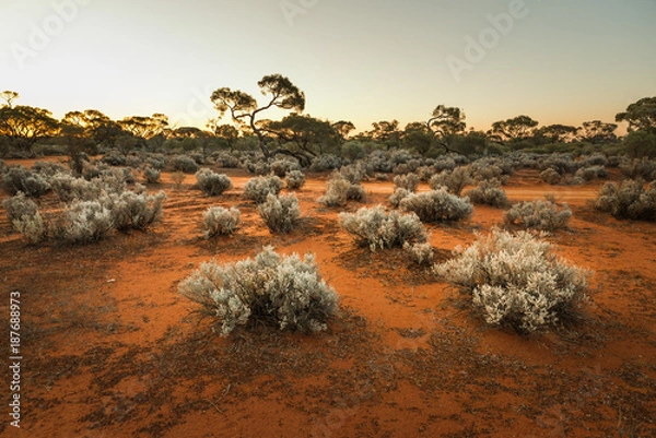 Fototapeta South Australian Outback Krajobraz o zachodzie słońca