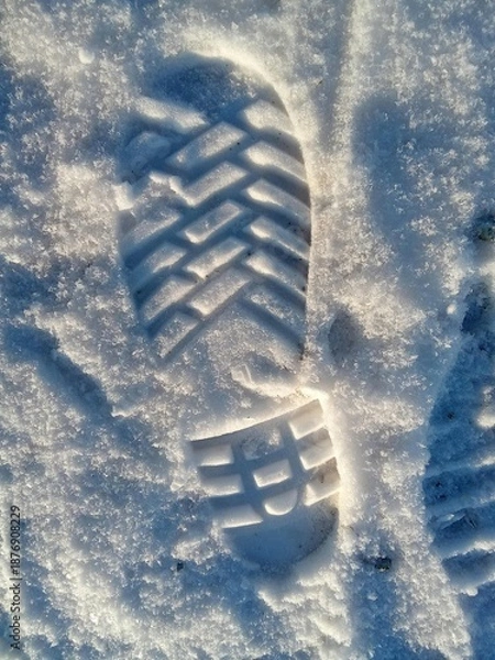 Obraz Shoeprint in the snow